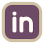 Icon Linkedin