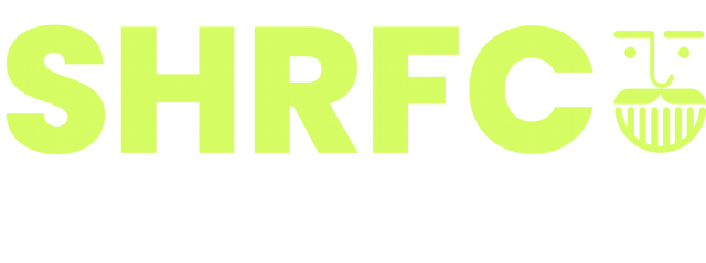Wordmark logo variant